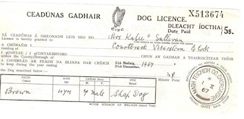 Dog Licence 1967