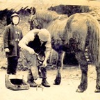 John Kelleher keeps a watchful eye as Henry O’Donoghue ‘shoes’ a horse at the forge in Cloghroe.jpg