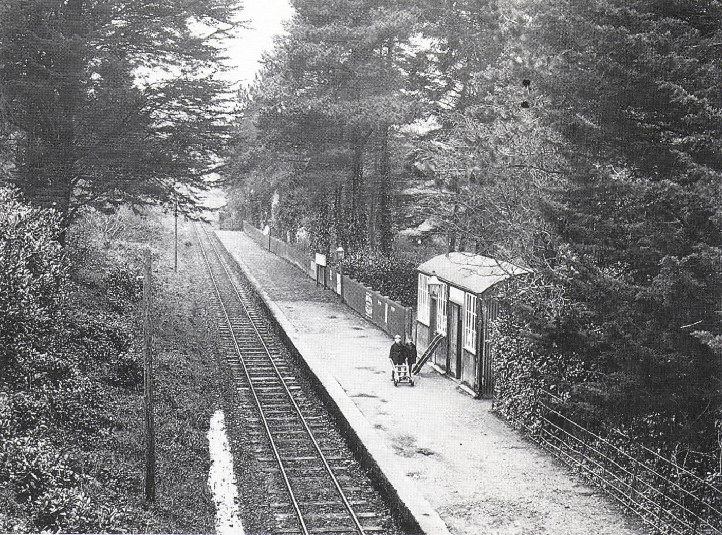 Healy's Bridge Station