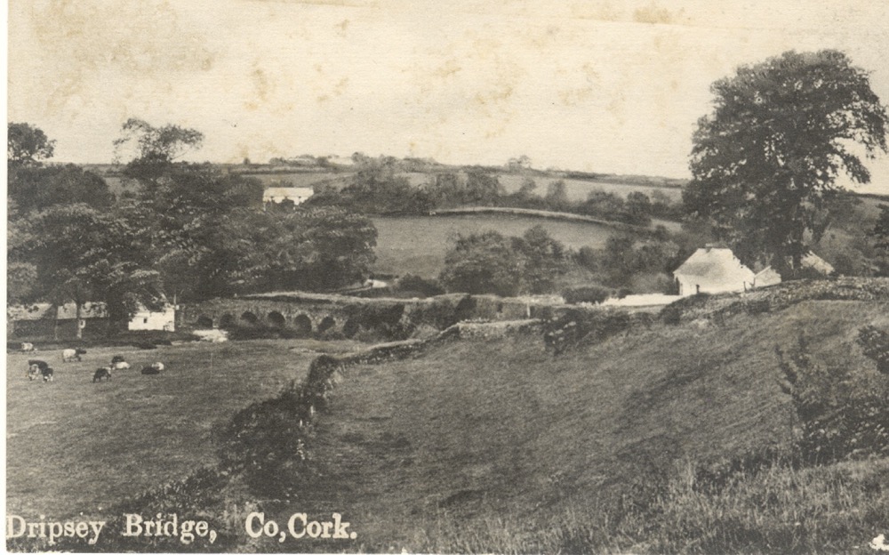 Dripsey Bridge