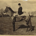 Tom C Ryan of Dripsey, a well known coursing judge, pictured in the 1950s at Lakelands, Blackrock