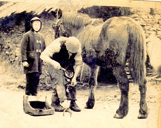 John Kelleher keeps a watchful eye as Henry O’Donoghue ‘shoes’ a horse at the forge in Cloghroe