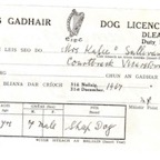 Dog Licence 1967.jpeg